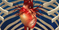 Zdrowie Odpornosc Mlodosc Serce