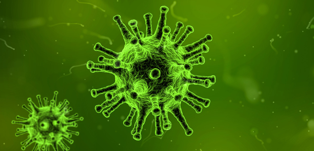 Poważne zachorowania na grypę pandemiczną H1N1 w 2009 r. spowodowane patogennymi kompleksami immunologicznymi.